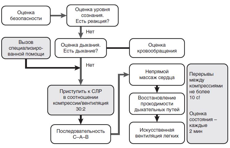 Техника проведения сердечно-легочной реанимации