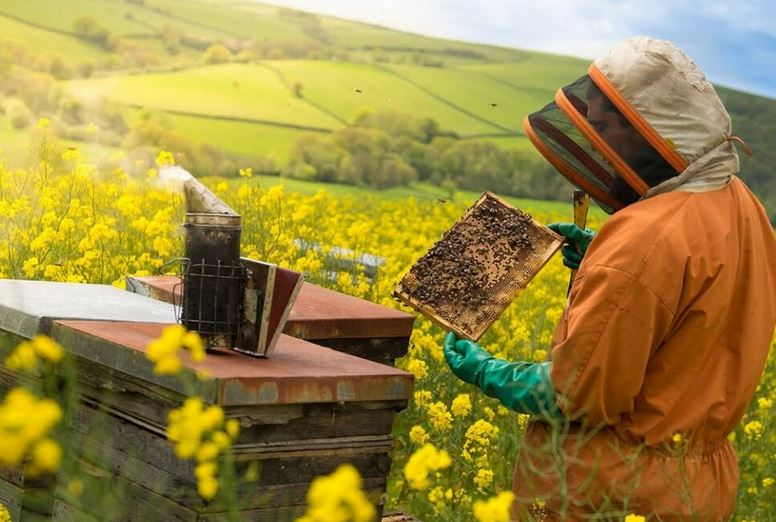 Пчеловод