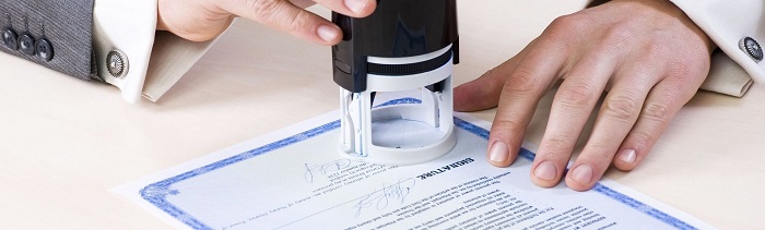 документы после обучения документы после обучения